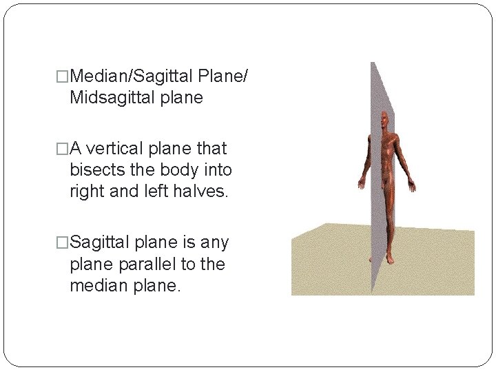 �Median/Sagittal Plane/ Midsagittal plane �A vertical plane that bisects the body into right and
