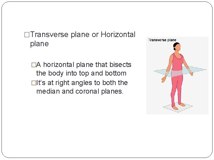 �Transverse plane or Horizontal plane �A horizontal plane that bisects the body into top