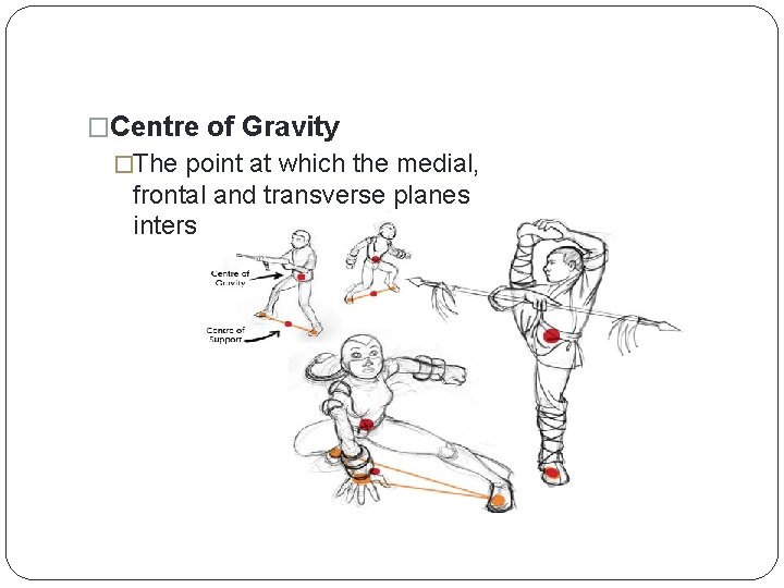 �Centre of Gravity �The point at which the medial, frontal and transverse planes intersect.