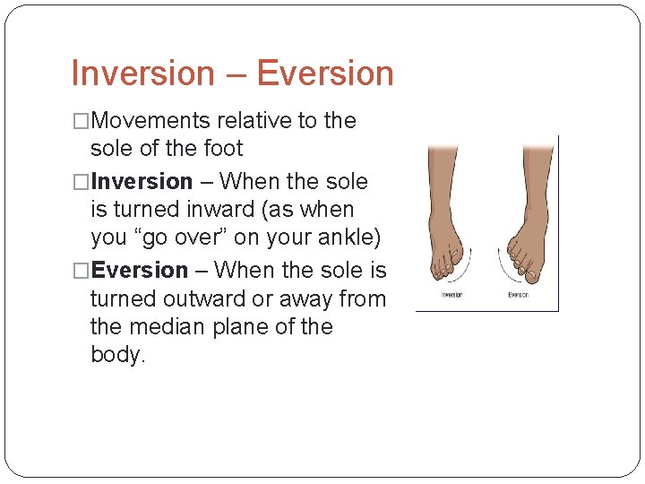 Inversion – Eversion �Movements relative to the sole of the foot �Inversion – When