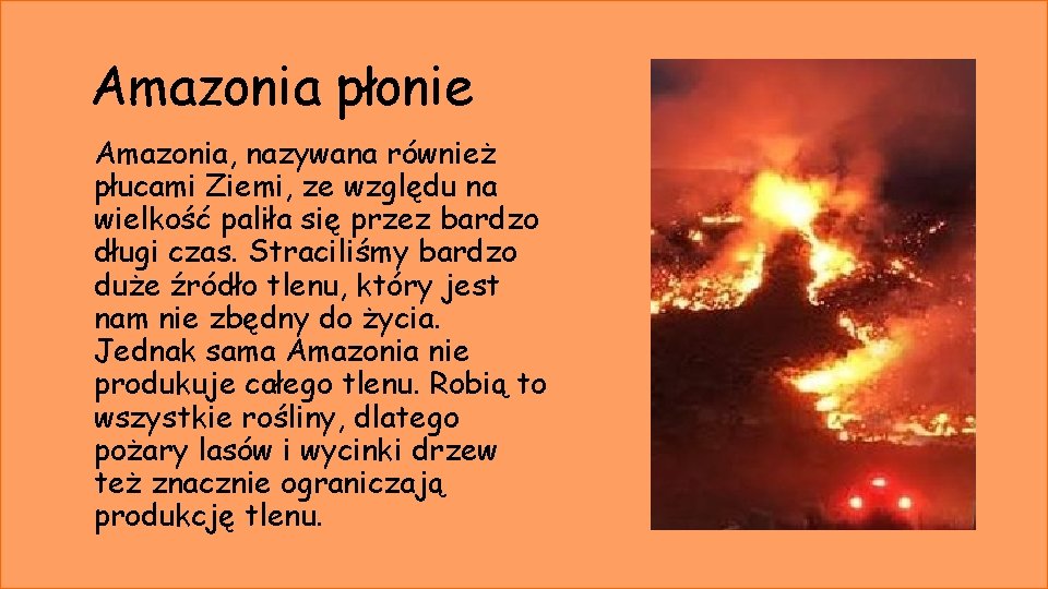 Amazonia płonie Amazonia, nazywana również płucami Ziemi, ze względu na wielkość paliła się przez