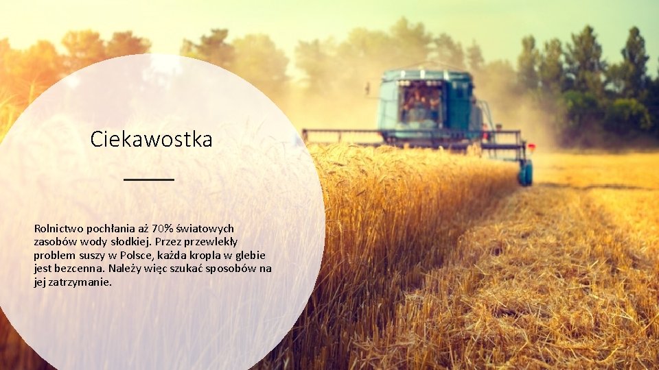 Ciekawostka Rolnictwo pochłania aż 70% światowych zasobów wody słodkiej. Przez przewlekły problem suszy w