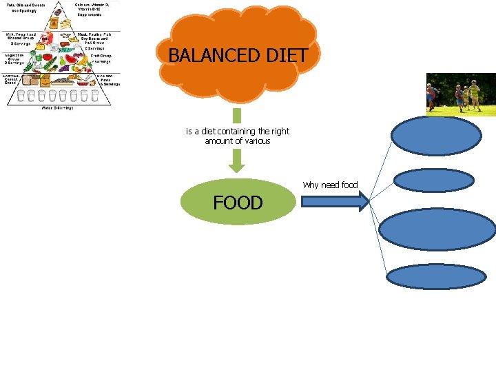  DIET BALANCED is a diet containing the right amount of various Why need