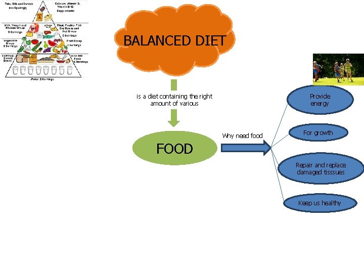 BALANCED DIET is a diet containing the right amount of various Provide energy Why