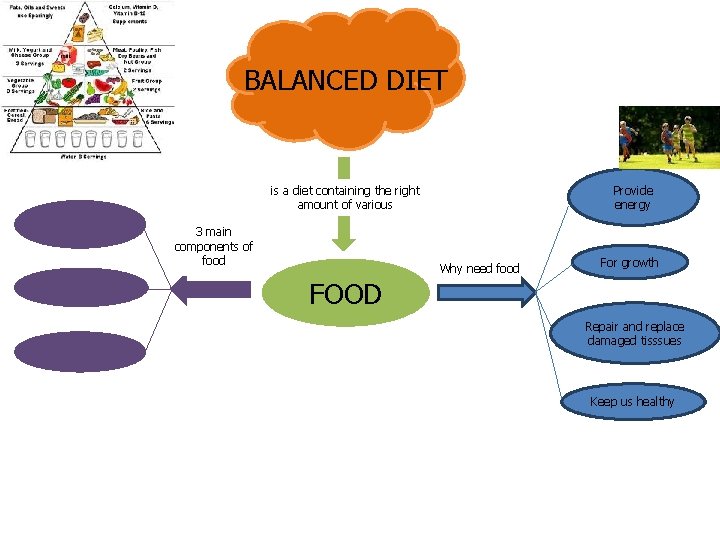 BALANCED DIET is a diet containing the right amount of various 3 main components