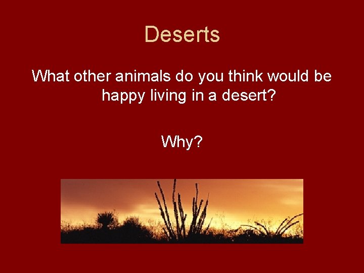 Deserts What other animals do you think would be happy living in a desert?