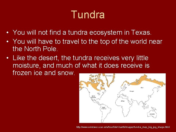 Tundra • You will not find a tundra ecosystem in Texas. • You will