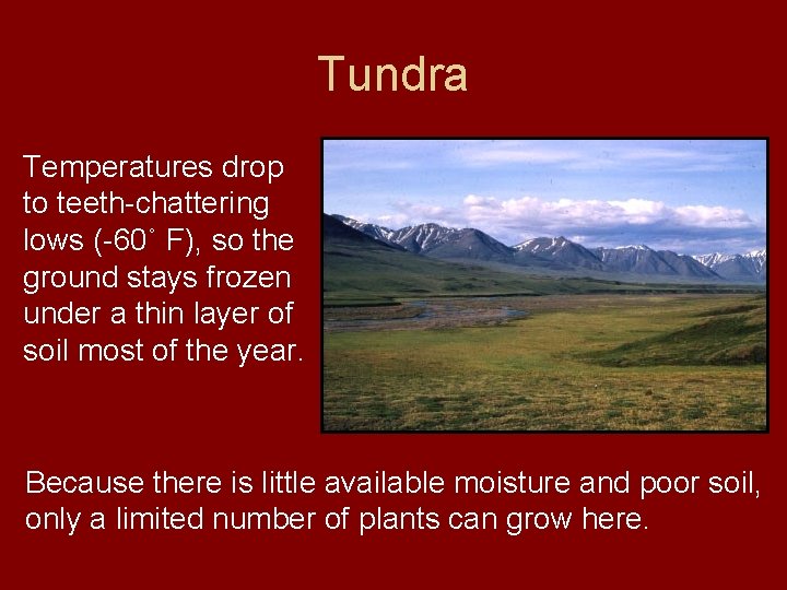 Tundra Temperatures drop to teeth-chattering lows (-60˚ F), so the ground stays frozen under
