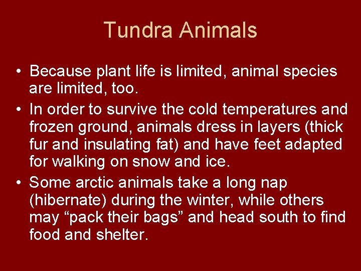 Tundra Animals • Because plant life is limited, animal species are limited, too. •