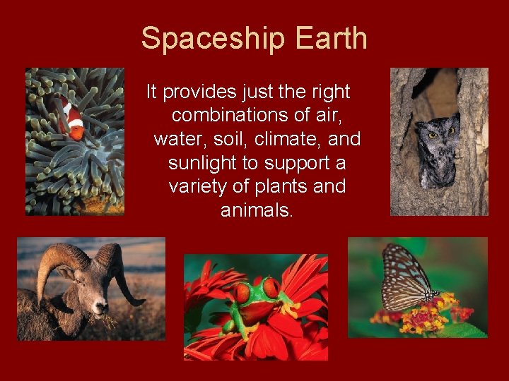 Spaceship Earth It provides just the right combinations of air, water, soil, climate, and