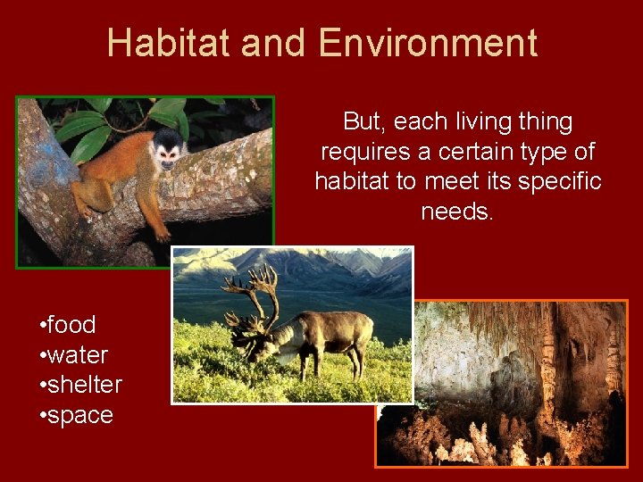 Habitat and Environment But, each living thing requires a certain type of habitat to
