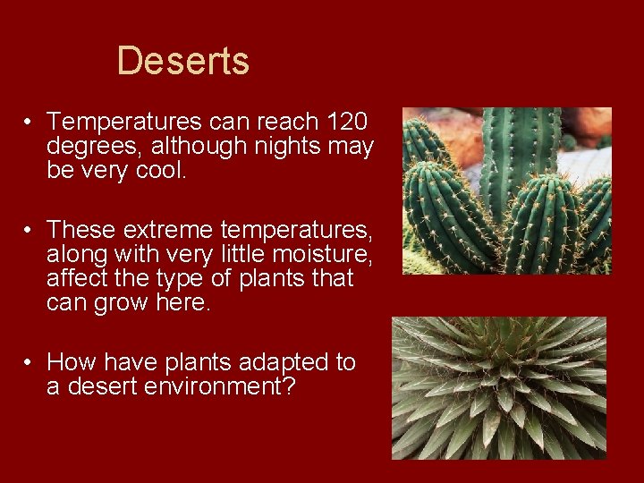 Deserts • Temperatures can reach 120 degrees, although nights may be very cool. •
