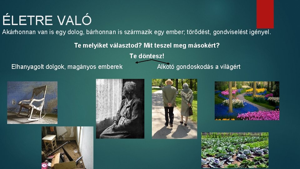 ÉLETRE VALÓ Akárhonnan van is egy dolog, bárhonnan is származik egy ember; törődést, gondviselést
