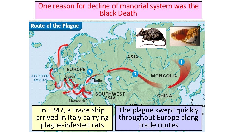 One reason for decline of manorial system was the Black Death In 1347, a