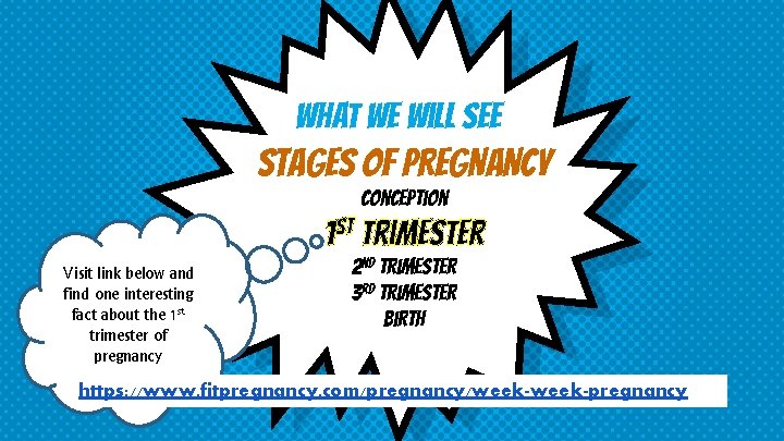 What we will See STAGES OF PREGNANCY Conception 1 st Trimester Visit link below