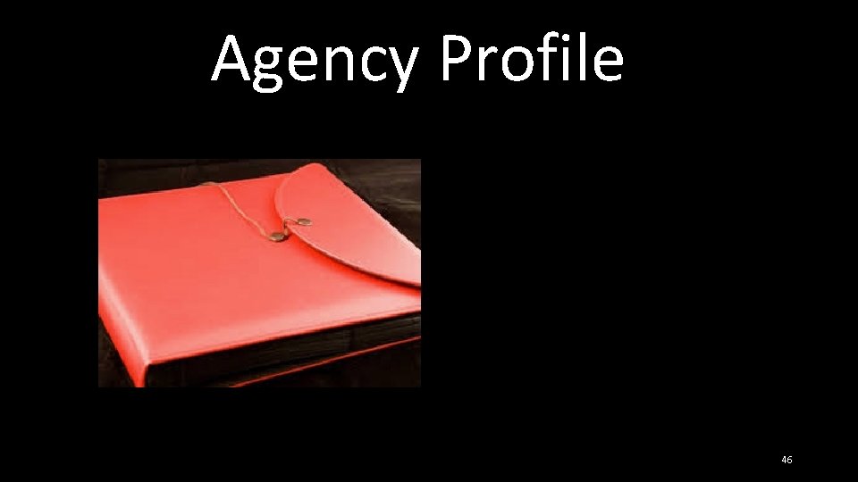 Agency Profile 46 