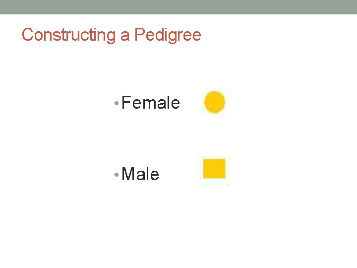Constructing a Pedigree • Female • Male 