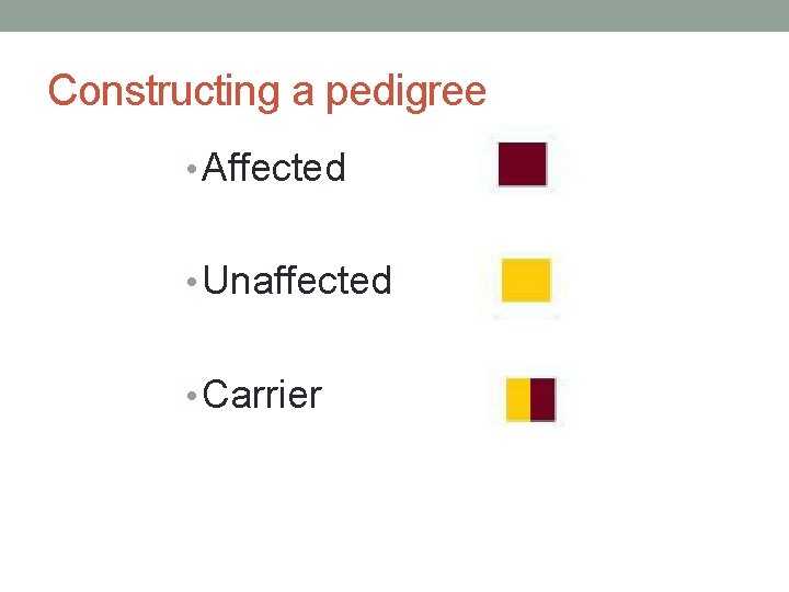 Constructing a pedigree • Affected • Unaffected • Carrier 