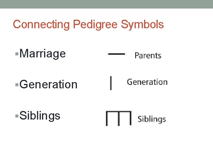Connecting Pedigree Symbols §Marriage §Generation §Siblings 