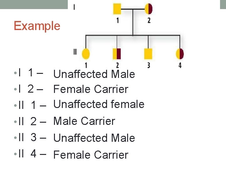 Example • I 1 – • I 2 – • II 1 – •