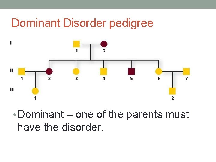 Dominant Disorder pedigree • Dominant – one of the parents must have the disorder.
