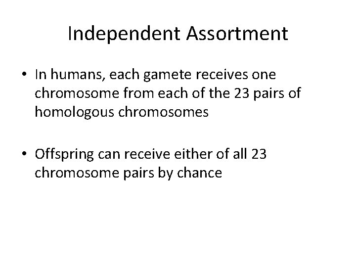 Independent Assortment • In humans, each gamete receives one chromosome from each of the