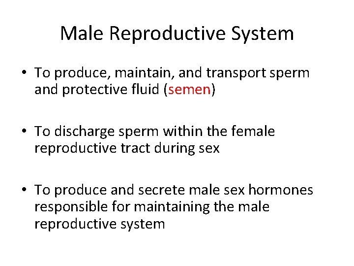 Male Reproductive System • To produce, maintain, and transport sperm and protective fluid (semen)