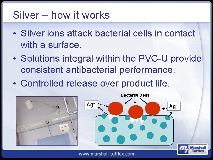 Silver – how it works • Silver ions attack bacterial cells in contact with