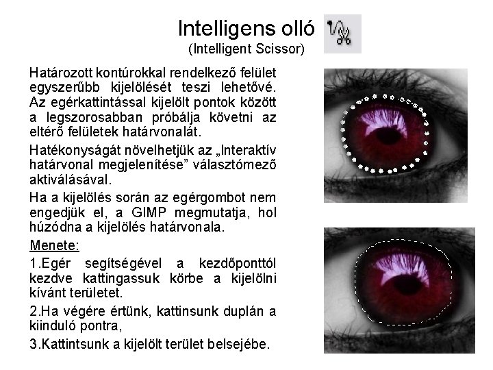 Intelligens olló (Intelligent Scissor) Határozott kontúrokkal rendelkező felület egyszerűbb kijelölését teszi lehetővé. Az egérkattintással