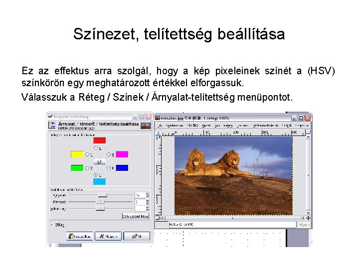 Színezet, telítettség beállítása Ez az effektus arra szolgál, hogy a kép pixeleinek színét a