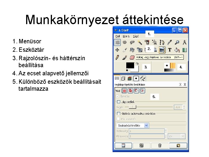 Munkakörnyezet áttekintése 1. Menüsor 2. Eszköztár 3. Rajzolószín- és háttérszín beállítása 4. Az ecset