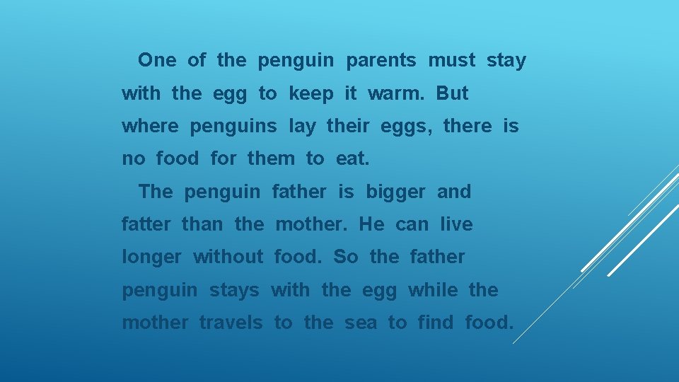 One of the penguin parents must stay with the egg to keep it warm.