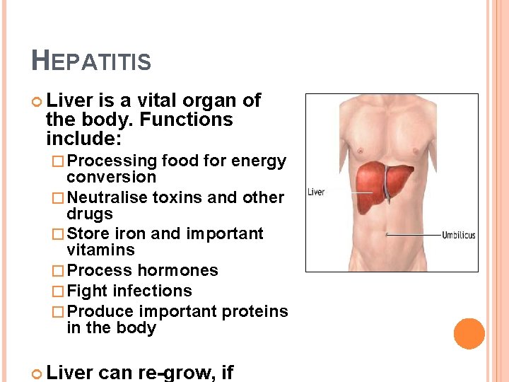 HEPATITIS Liver is a vital organ of the body. Functions include: � Processing food