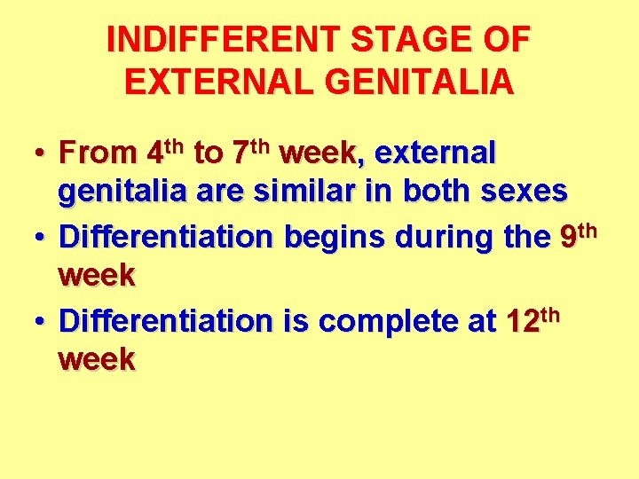 INDIFFERENT STAGE OF EXTERNAL GENITALIA • From 4 th to 7 th week, external
