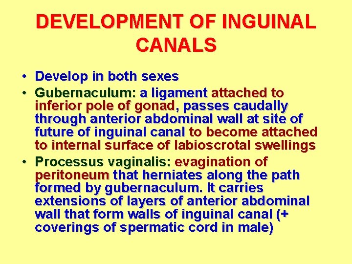 DEVELOPMENT OF INGUINAL CANALS • Develop in both sexes • Gubernaculum: a ligament attached