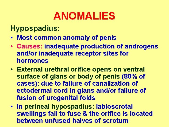 ANOMALIES Hypospadius: • Most common anomaly of penis • Causes: inadequate production of androgens