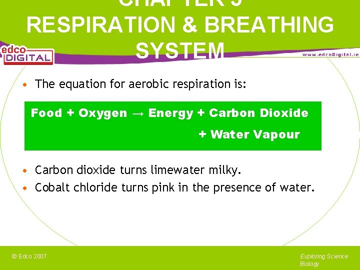 CHAPTER 5 RESPIRATION & BREATHING SYSTEM • The equation for aerobic respiration is: Food