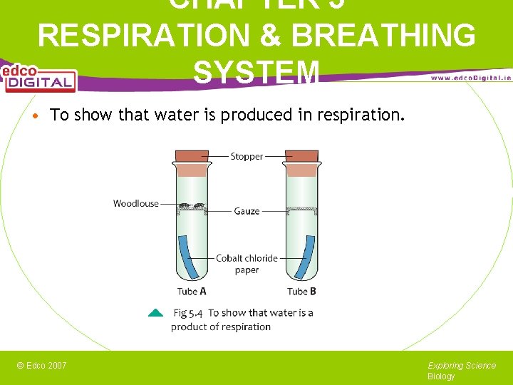 CHAPTER 5 RESPIRATION & BREATHING SYSTEM • To show that water is produced in
