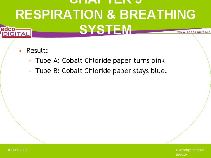 CHAPTER 5 RESPIRATION & BREATHING SYSTEM • Result: – Tube A: Cobalt Chloride paper