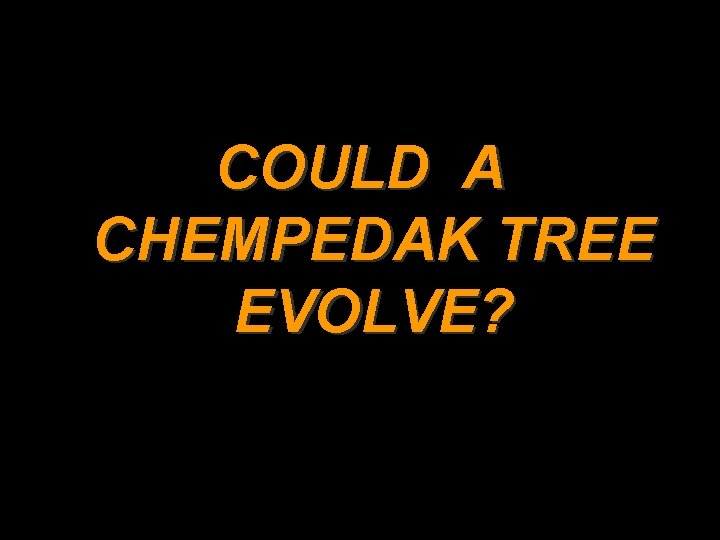 COULD A CHEMPEDAK TREE EVOLVE? Science News, March 3, 2000, p. 182 