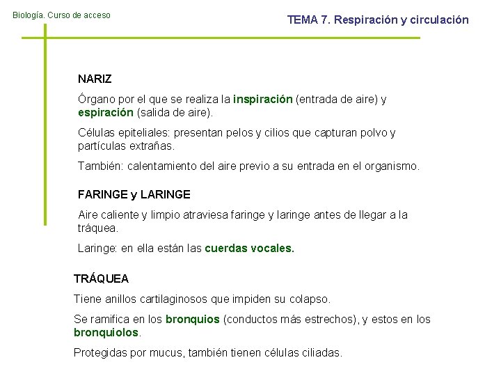 Biología. Curso de acceso TEMA 7. Respiración y circulación NARIZ Órgano por el que