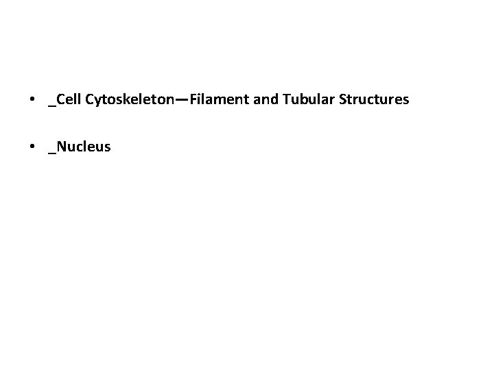  • _Cell Cytoskeleton—Filament and Tubular Structures • _Nucleus 