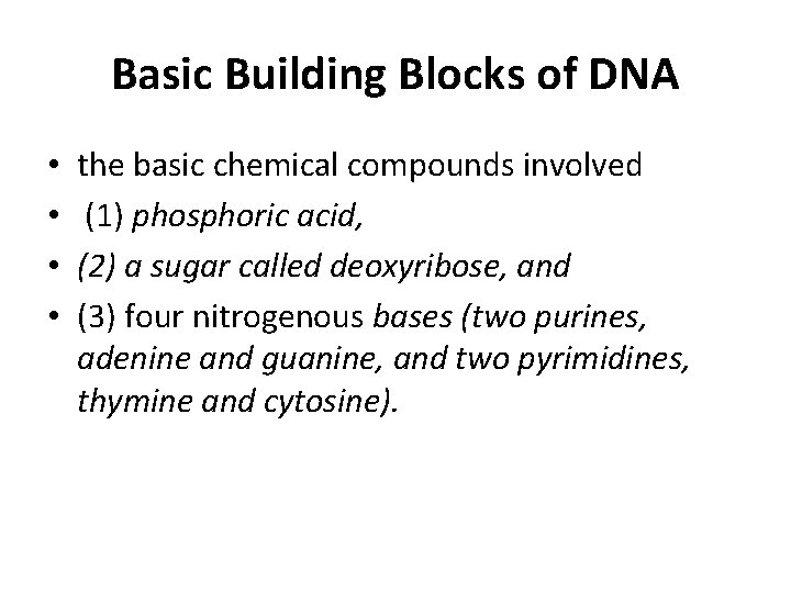 Basic Building Blocks of DNA • • the basic chemical compounds involved (1) phosphoric