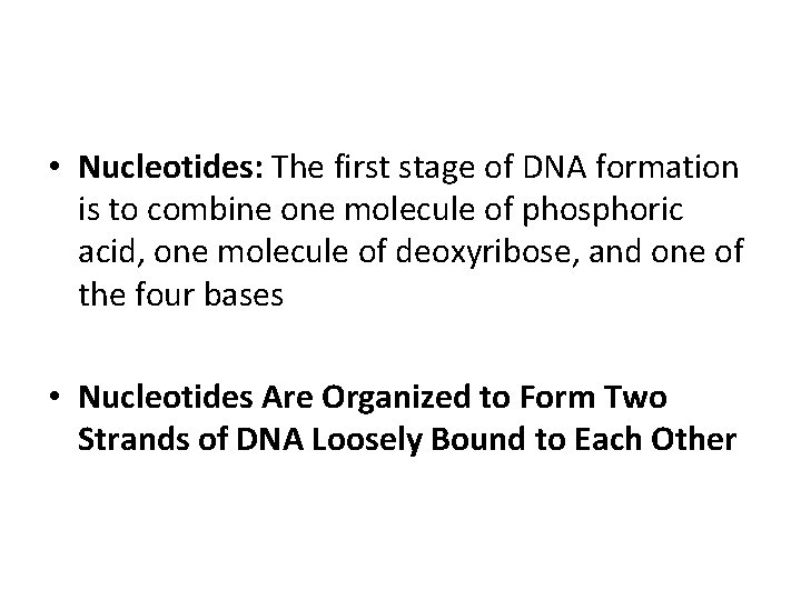  • Nucleotides: The first stage of DNA formation is to combine one molecule
