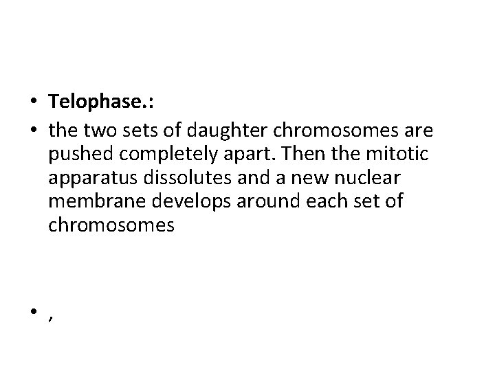  • Telophase. : • the two sets of daughter chromosomes are pushed completely