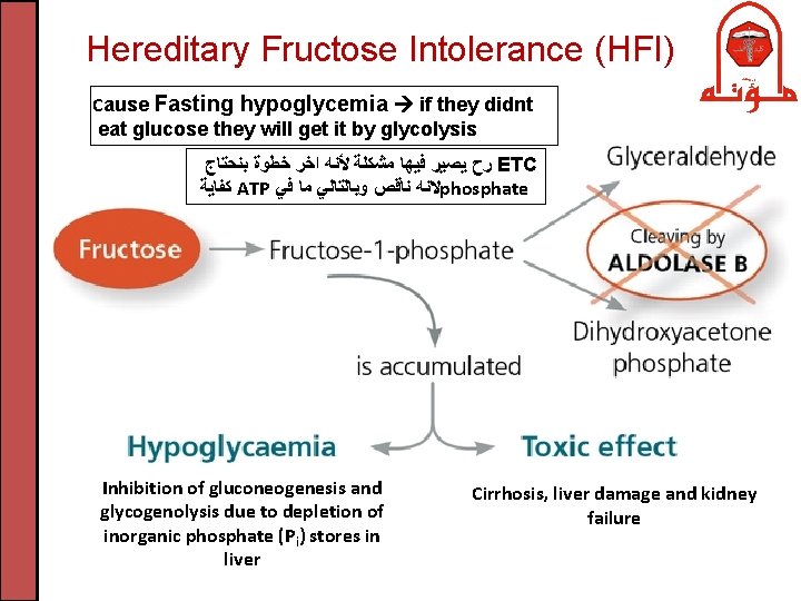 Hereditary Fructose Intolerance (HFI) Cause Fasting hypoglycemia if they didnt eat glucose they will