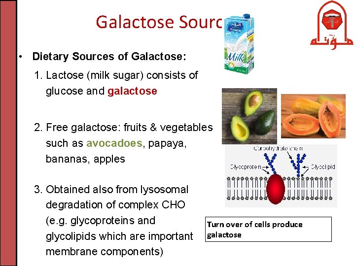 Galactose Sources • Dietary Sources of Galactose: 1. Lactose (milk sugar) consists of glucose