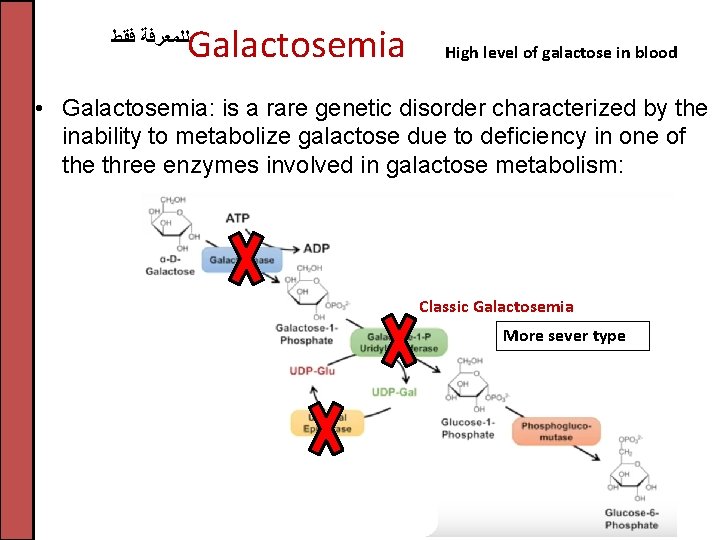 Galactosemia ﻟﻠﻤﻌﺮﻓﺔ ﻓﻘﻂ High level of galactose in blood • Galactosemia: is a rare