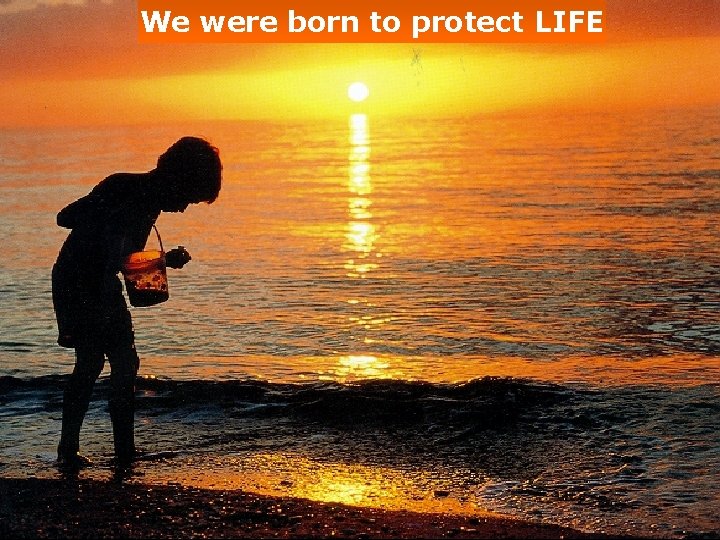 We were born to protect LIFE 