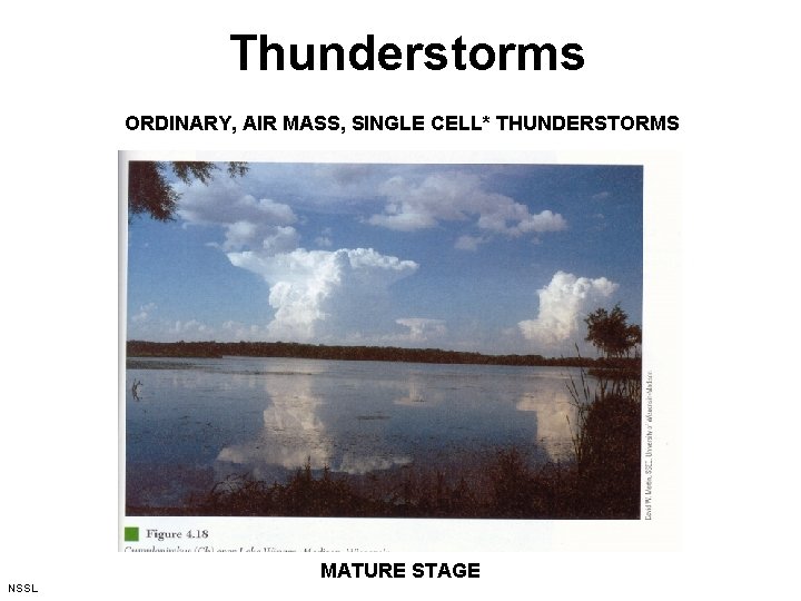 Thunderstorms ORDINARY, AIR MASS, SINGLE CELL* THUNDERSTORMS MATURE STAGE NSSL 